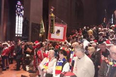 IMG-20190304-WA0009