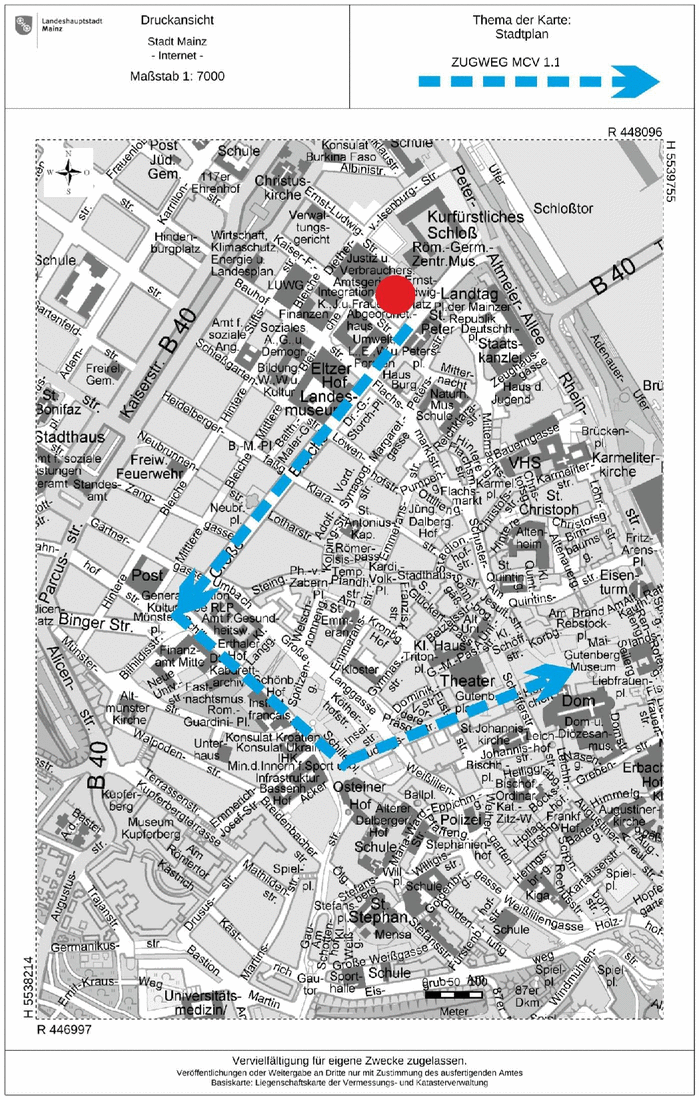 csm Neujahrsumzug Zugweg 1.1.2015 7f1232ab02